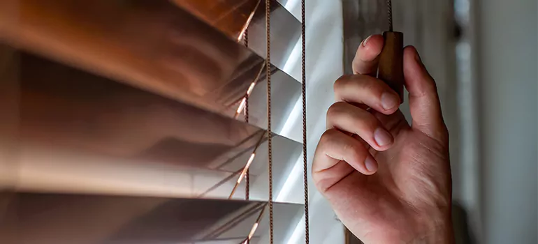 Double Roller Blinds in Hunters Creek, FL