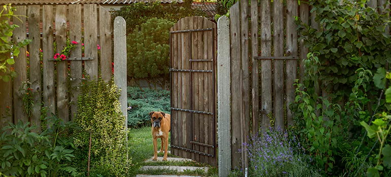 Winter Garden Garage Door Repair in Hunters Creek,[location field=state]