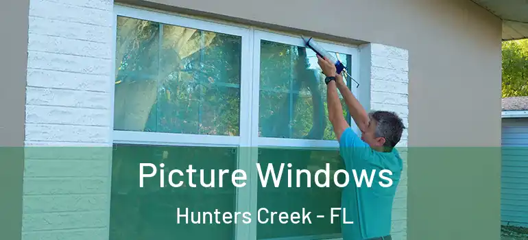 Picture Windows Hunters Creek - FL
